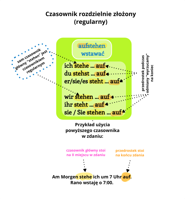 Odmiana czasownika rozdzielnie zlożonego regularnego